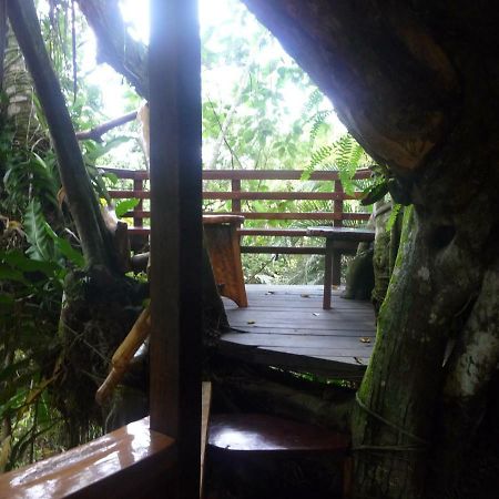 Topos Tree House Cahuita Ngoại thất bức ảnh