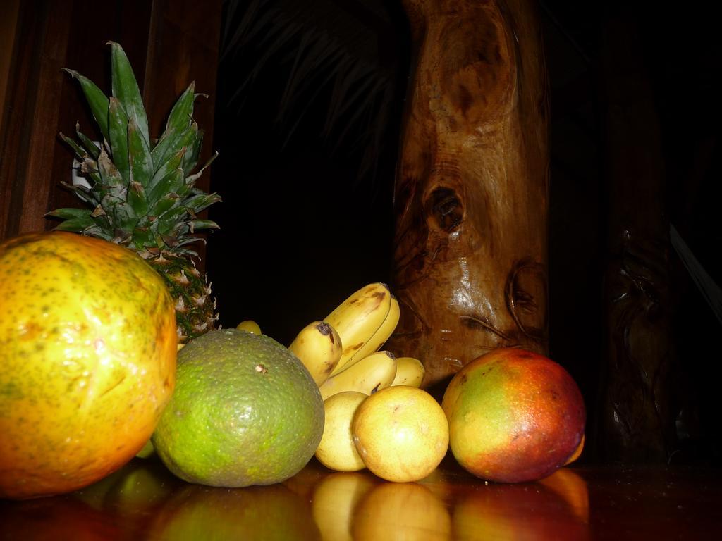 Topos Tree House Cahuita Ngoại thất bức ảnh