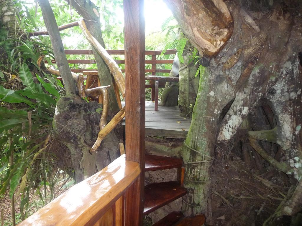 Topos Tree House Cahuita Ngoại thất bức ảnh