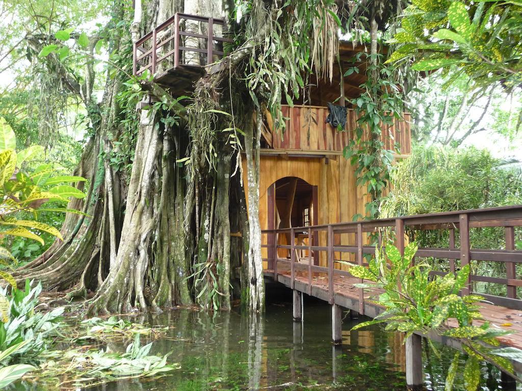 Topos Tree House Cahuita Ngoại thất bức ảnh