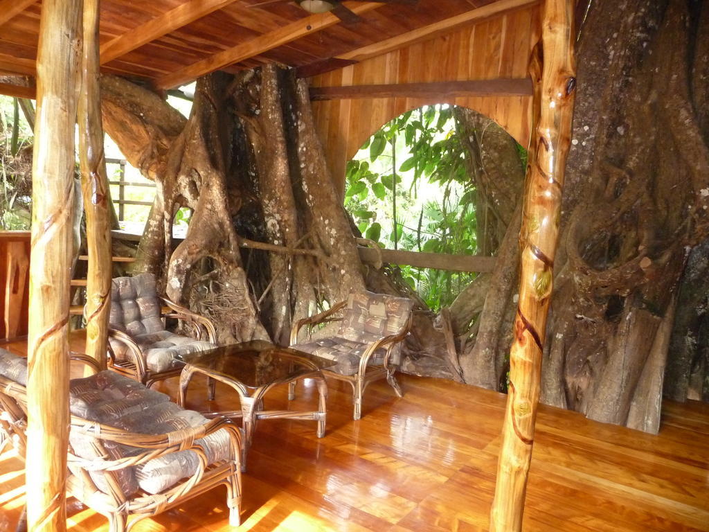 Topos Tree House Cahuita Ngoại thất bức ảnh
