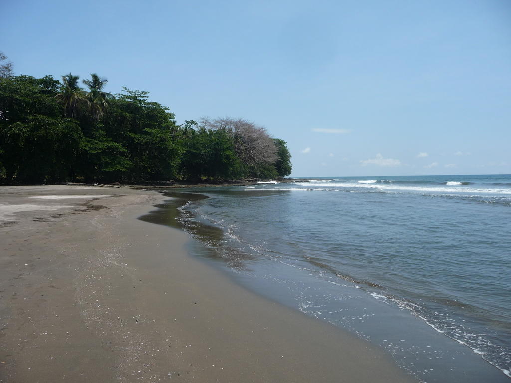 Topos Tree House Cahuita Ngoại thất bức ảnh