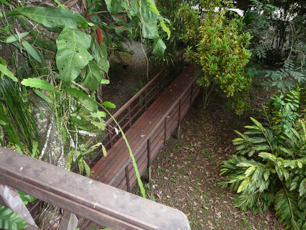 Topos Tree House Cahuita Ngoại thất bức ảnh