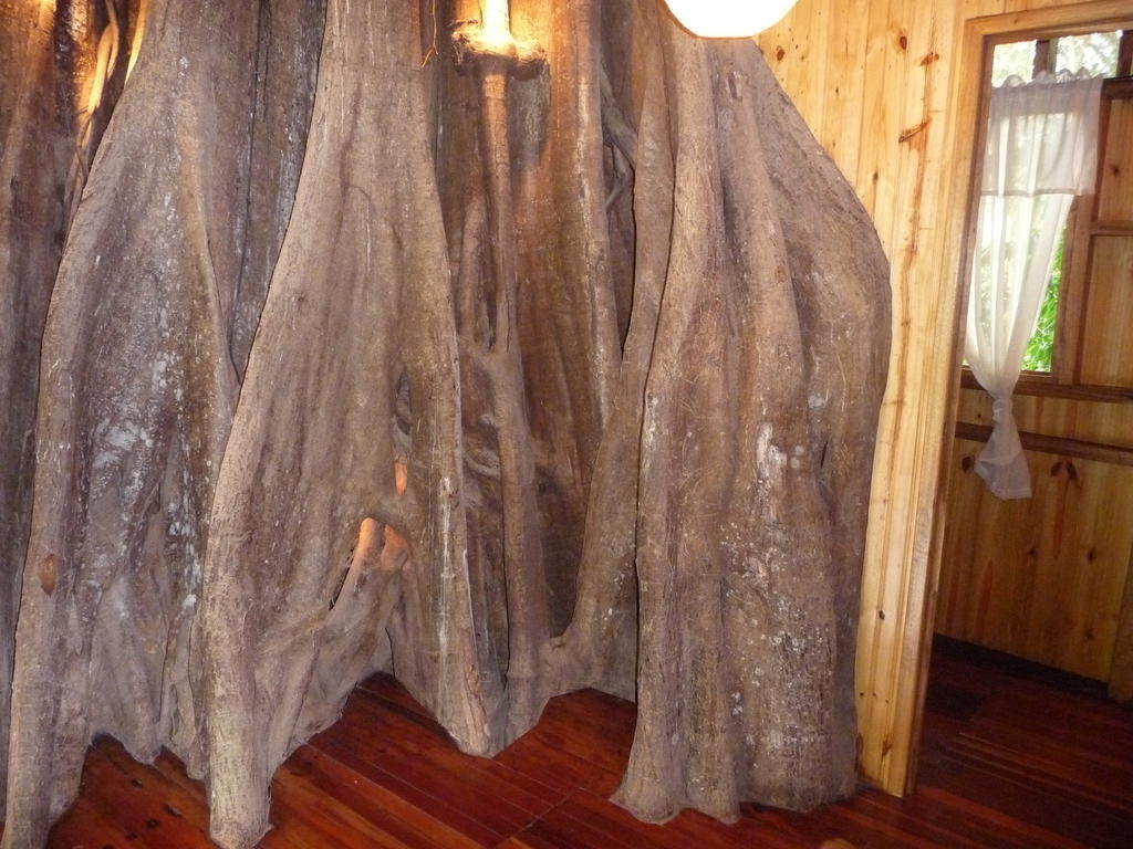 Topos Tree House Cahuita Ngoại thất bức ảnh