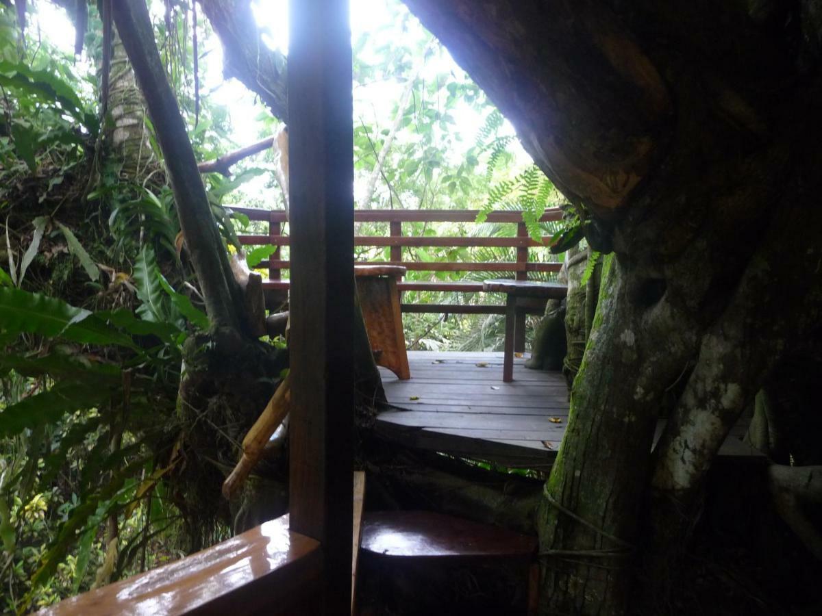 Topos Tree House Cahuita Ngoại thất bức ảnh
